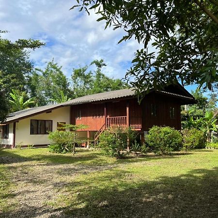 Brown House Chiangdao Vandrerhjem Chiang Dao Eksteriør bilde
