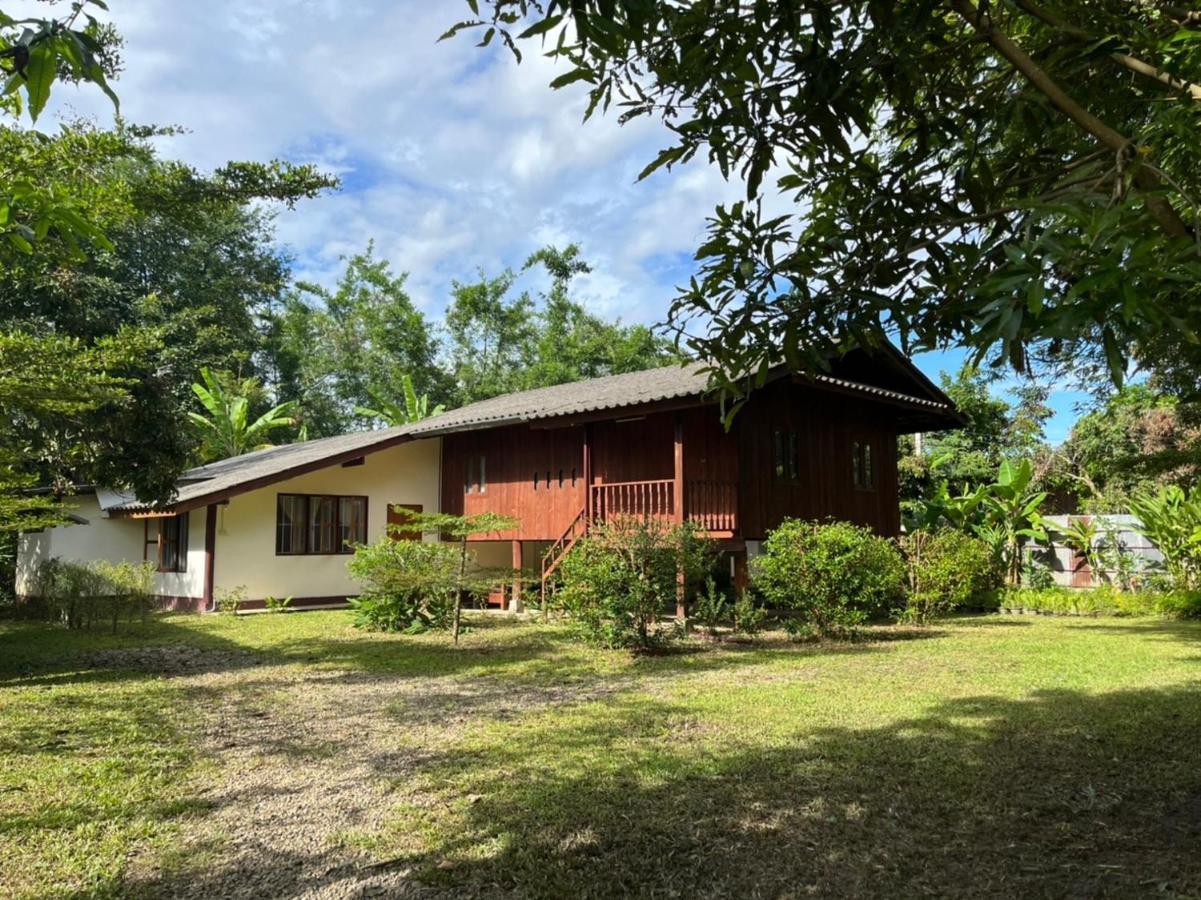 Brown House Chiangdao Vandrerhjem Chiang Dao Eksteriør bilde