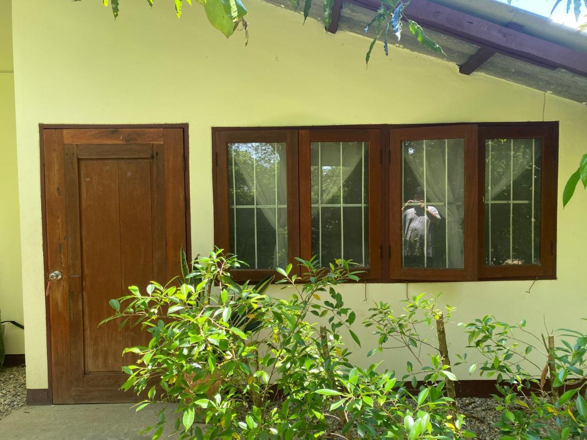 Brown House Chiangdao Vandrerhjem Chiang Dao Eksteriør bilde
