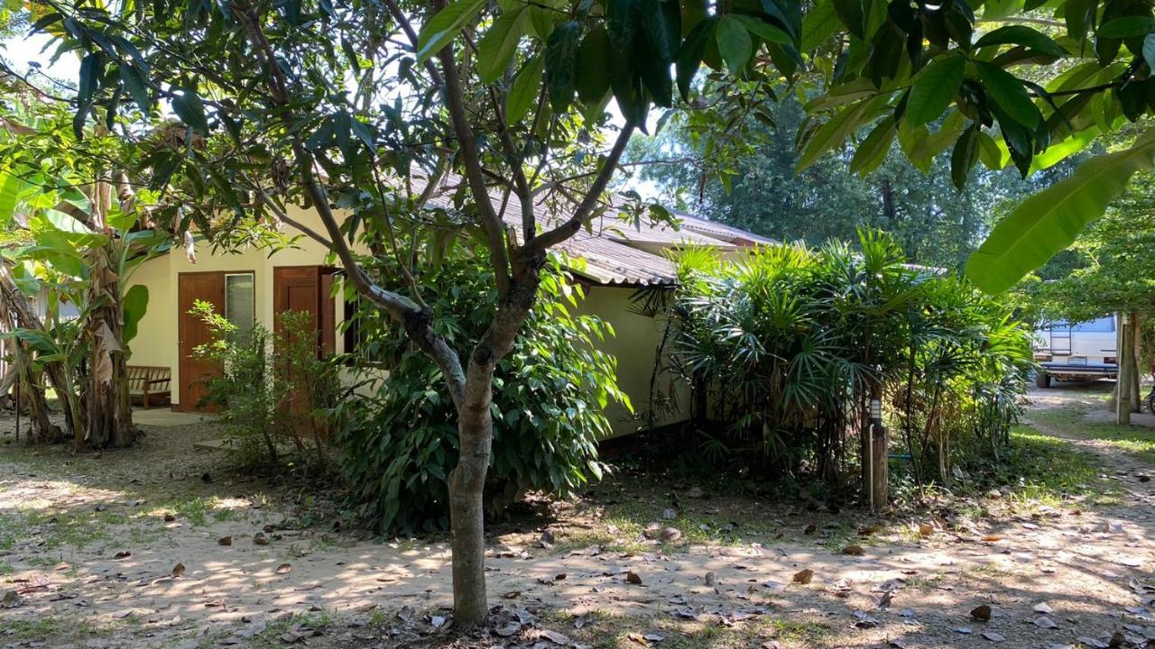 Brown House Chiangdao Vandrerhjem Chiang Dao Eksteriør bilde