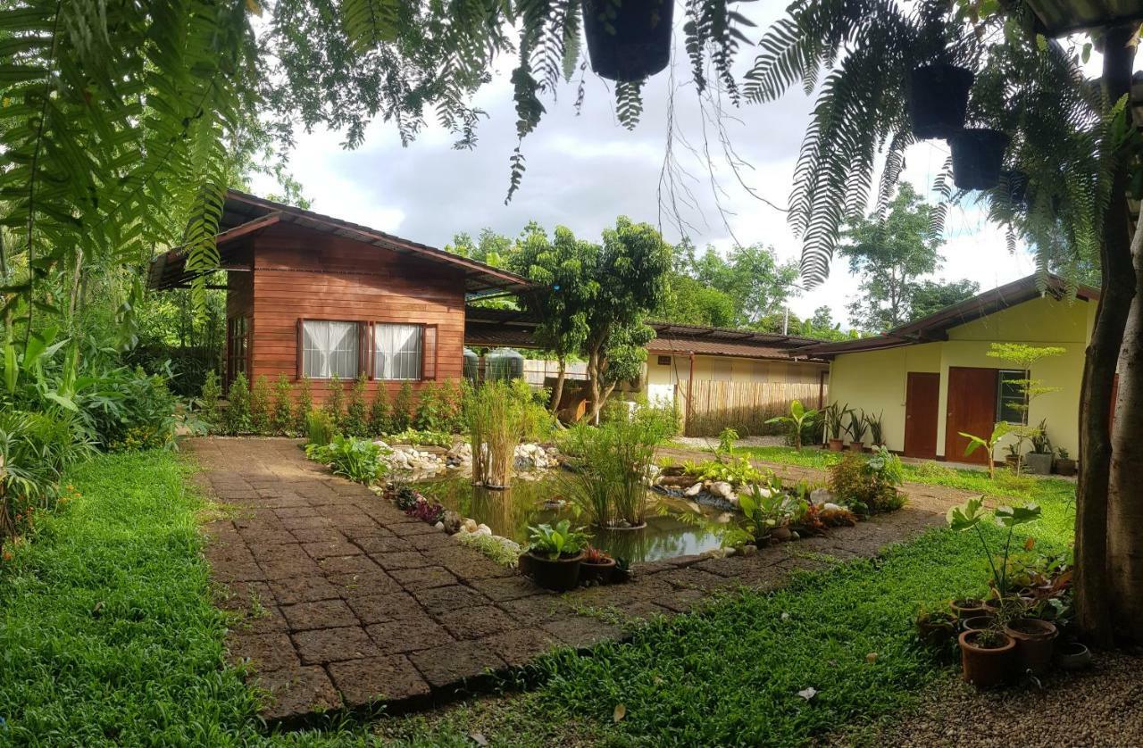 Brown House Chiangdao Vandrerhjem Chiang Dao Eksteriør bilde
