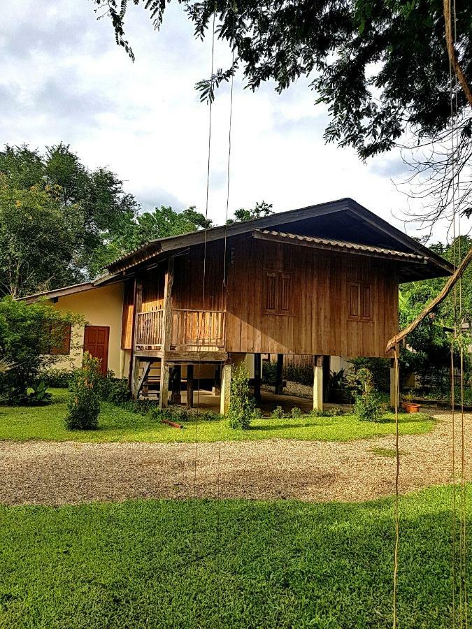 Brown House Chiangdao Vandrerhjem Chiang Dao Eksteriør bilde