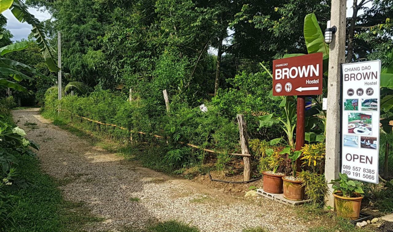 Brown House Chiangdao Vandrerhjem Chiang Dao Eksteriør bilde